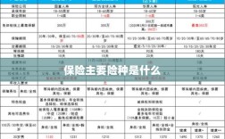 保险主要险种简介与概述