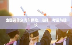 出国购车保险指南，选择、考量与推荐方案