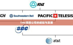 TAC保险公司的崛起与蓬勃发展之路