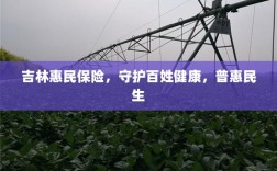 吉林惠民保险，守护百姓健康，普惠民生保障