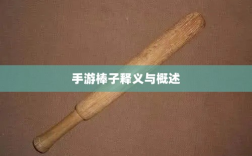 手游棒子释义与概述