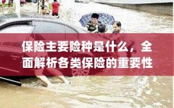 全面解析保险主要险种，种类、重要性及特点概览