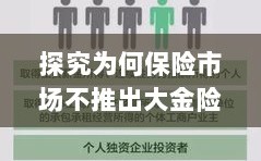 保险市场为何不推出大金险产品探究