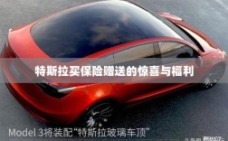 特斯拉保险购买赠品与惊喜福利概述