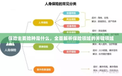 全面解析保险领域关键领域，主要险种介绍与概述