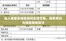 私人老板如何合理交税，税务规划与保险策略探讨指南