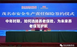 中年时期如何明智选择养老保险，为未来养老生活保驾护航