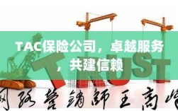 TAC保险公司，卓越服务，共筑信赖之巅