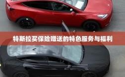 特斯拉保险特惠，独家特色服务与丰厚赠品等你来享