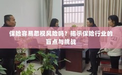 保险行业盲点揭秘，易被忽视的风险与挑战探究