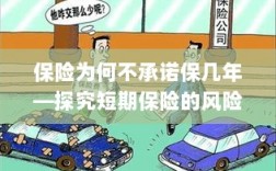 探究短期保险的风险与挑战，为何保险不承诺保几年？