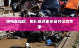 纯电车保险，如何挑选更经济的保险方案？