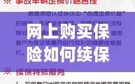 网上购买保险的续保指南，全面解析保险续保流程