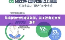 华瑞保险公司员工待遇全面解析，员工视角透视公司福利待遇