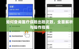 医疗保险出险次数查询指南，全面解析与操作指南