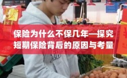 探究短期保险背后的原因与考量，为何保险不保多年？