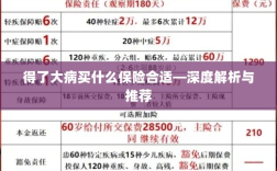 大病保障，深度解析保险选择与推荐