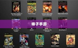 棒子手游，深度探究游戏现象的魅力与内涵