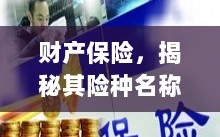 财产保险揭秘，险种名称与保障内容全解析