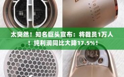 裁员风暴来袭，巨头裁员万人，纯利润大幅下滑！