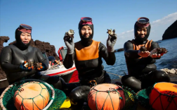 济州岛海女潜水传承引发后代进化，耐寒能力增强，血压降低的超能力揭秘