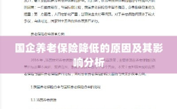 国企养老保险降低的原因及其影响分析，探究背后的因素与影响