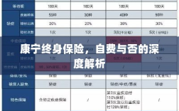 康宁终身保险，自费与否的全面解析与探讨