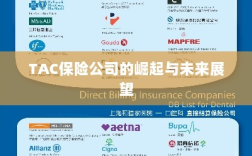 TAC保险公司的崛起及未来展望