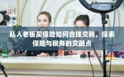 私人老板如何合理交保险税，探索保险与税务的交融之道