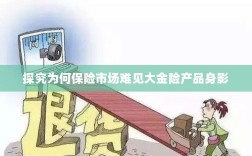 大金险产品为何难见身影，保险市场深度探究