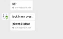 微信上线新功能，聊天消息自动翻译，支持18种语言翻译
