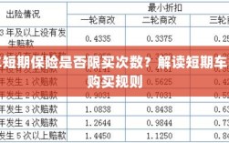 解读短期车险购买规则，次数限制与条件解析