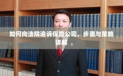 如何向法院追诉保险公司，详细步骤与策略指南