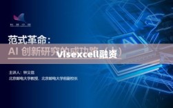 Visexcell融资，引领企业踏上资本成功之路