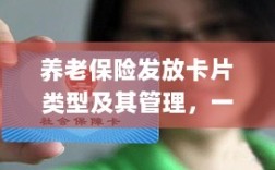 养老保险发放卡片类型与管理，保障与责任的承载之卡