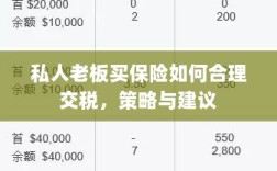 私人老板如何合理购买保险并交税，策略与建议详解