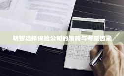 明智选择保险公司的策略及考量要素解析