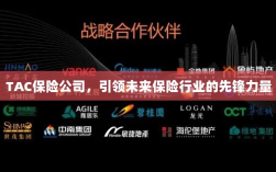TAC保险公司，领航未来保险行业，成为先锋典范