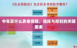 中年养老保险选择与规划的关键要素解析