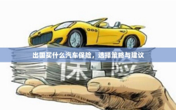 出国购车保险指南，选择策略与建议
