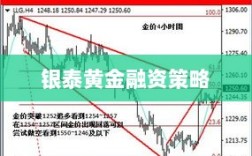 银泰黄金与东方融资策略深度探讨，个股分析与融资策略启示