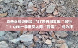 ST岩石业绩说明会回应质疑，QFII一季度投资遭遇‘雷区’，重组还是博弈？
