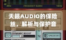 天籁AUDIO保险丝，解析与音频系统保护的关键要素