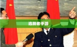 逃脱者手游的网络需求探究，游戏是否需要网络连接及其影响