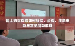 网上保险续保指南，步骤、注意事项及常见问题解答