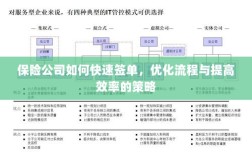 保险公司优化签单流程，快速签单与提高效率的策略探讨