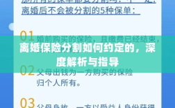 离婚保险分割深度解析与指导，约定要点及操作流程