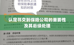 认定书交到保险公司的重要性及后续处理流程详解