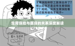 生育保险与医保关系的深度解析与解读