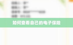 如何查看个人电子保险保单详情